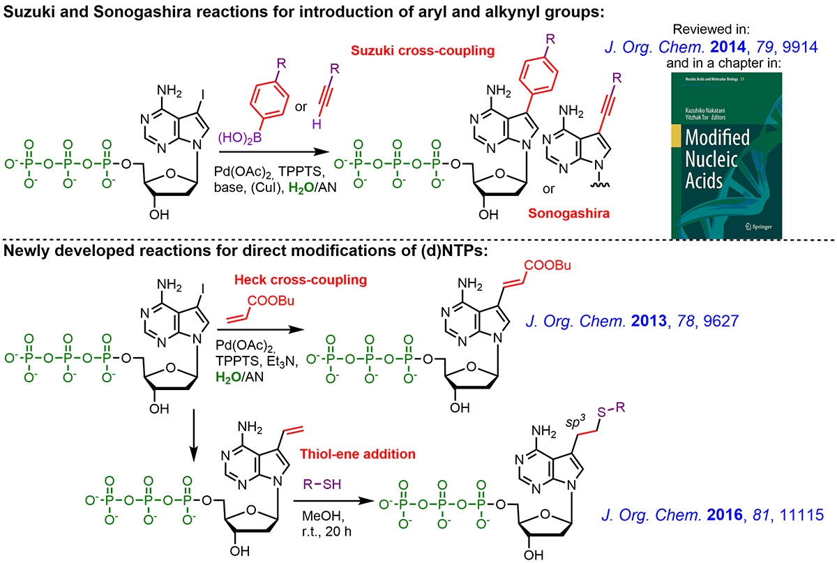 Synthesis of modified nucleoside triphosphates and polymerase ...